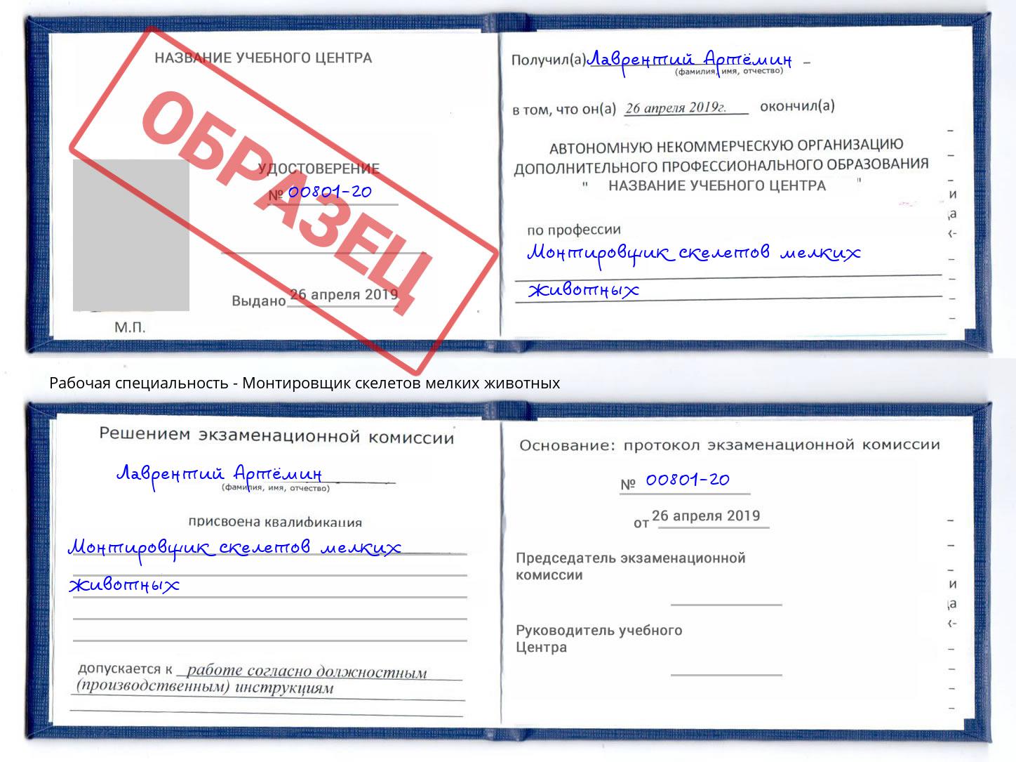 Монтировщик скелетов мелких животных Кашира