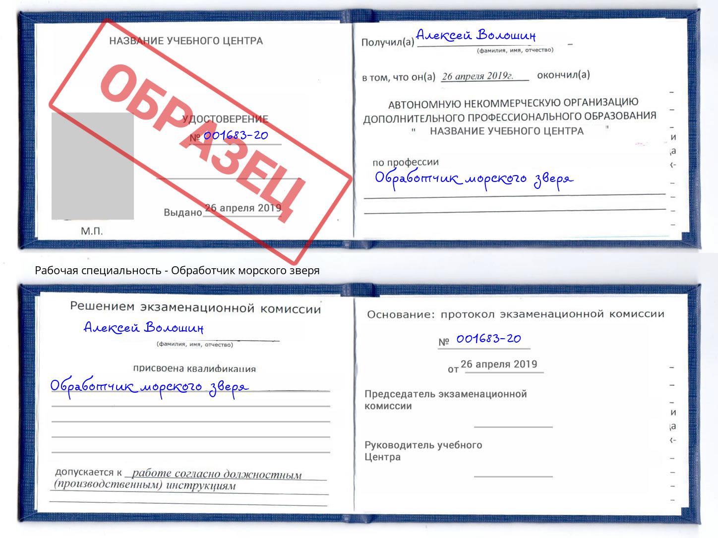 Обработчик морского зверя Кашира