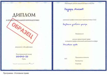 Проф. переподготовка Уголовное право