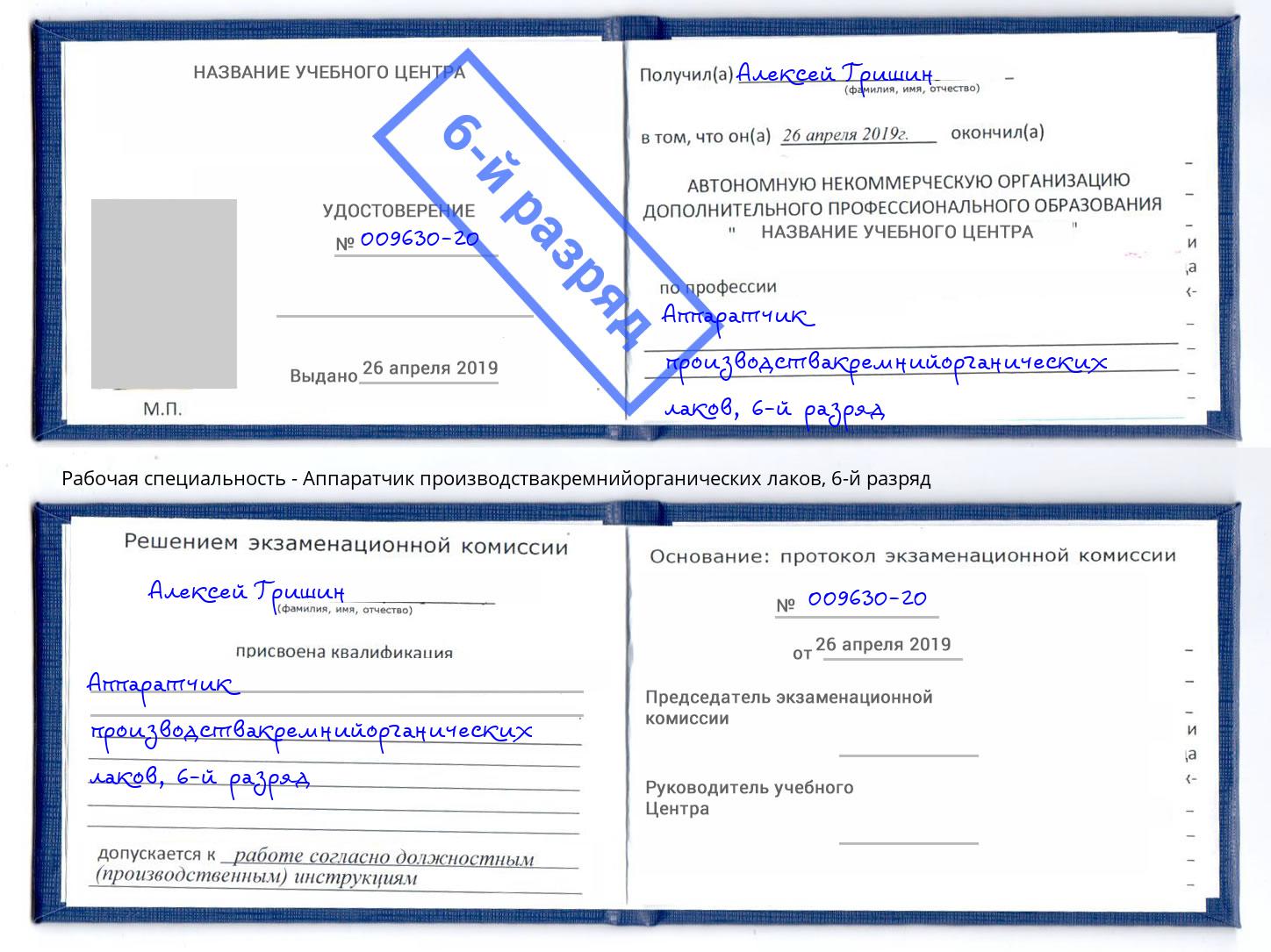 корочка 6-й разряд Аппаратчик производствакремнийорганических лаков Кашира